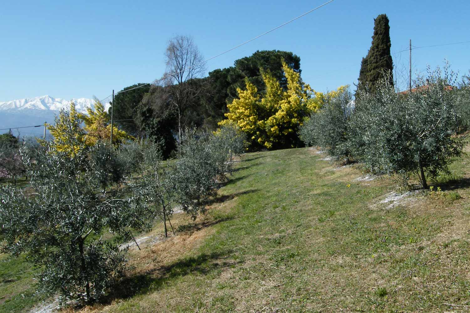 BESUC - Classico 2024 - immagine 10